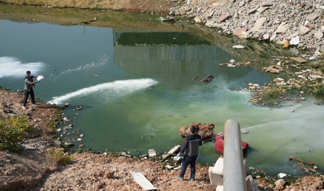Adıyaman Belediyesi Park ve