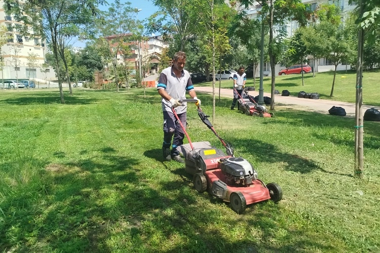 Gebze Tatlıkuyu Vadisi Kent Parkı’na düzenli bakım