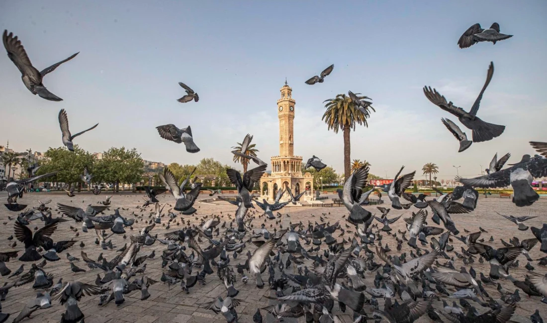  İzmir...
