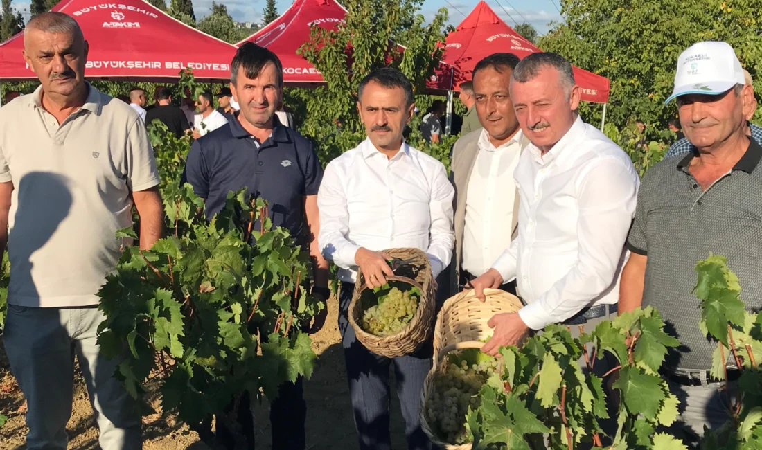  Kocaeli...