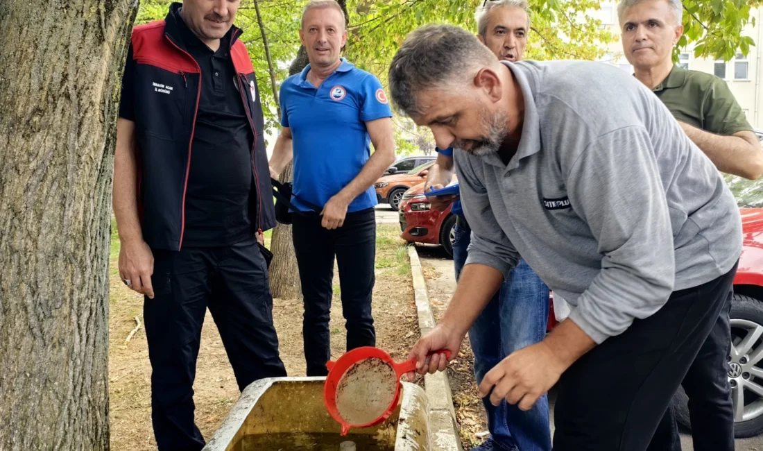  Tarım...