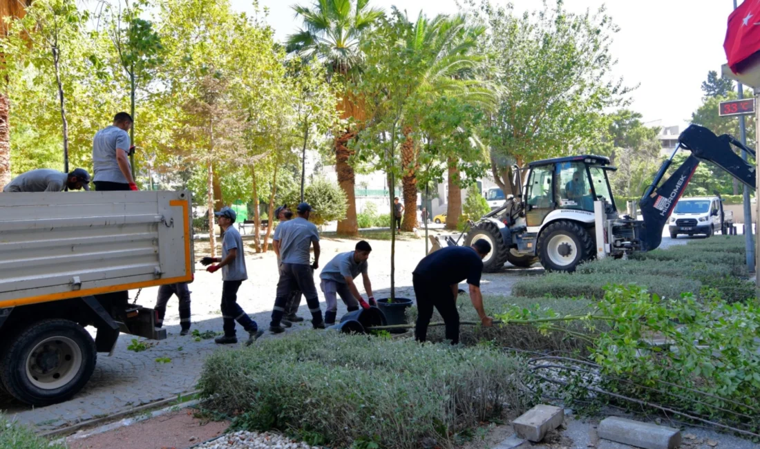 İzmir Bornova’da sakura ve tarçınla yeni bir soluk  İzmir...