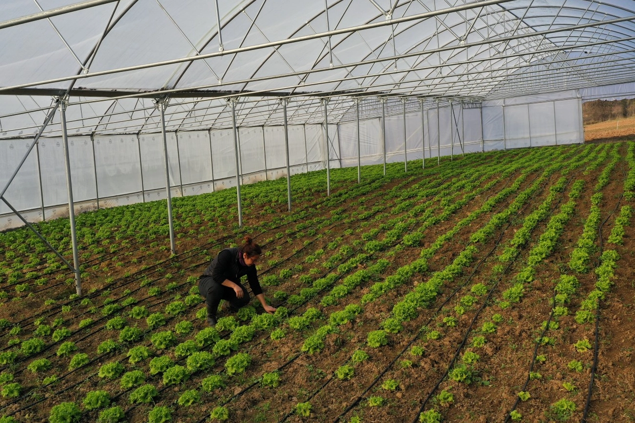 Kocaeli Büyükşehir’den çiftçilere modern sera desteği Kocaeli Büyükşehir’den çiftçilere modern sera desteği