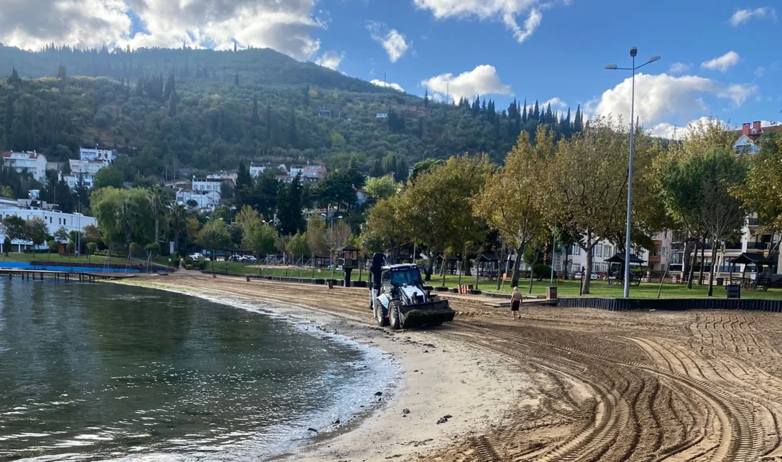 Kocaeli sahillerine Büyükşehir eliyle temiz sezon  Kocaeli...