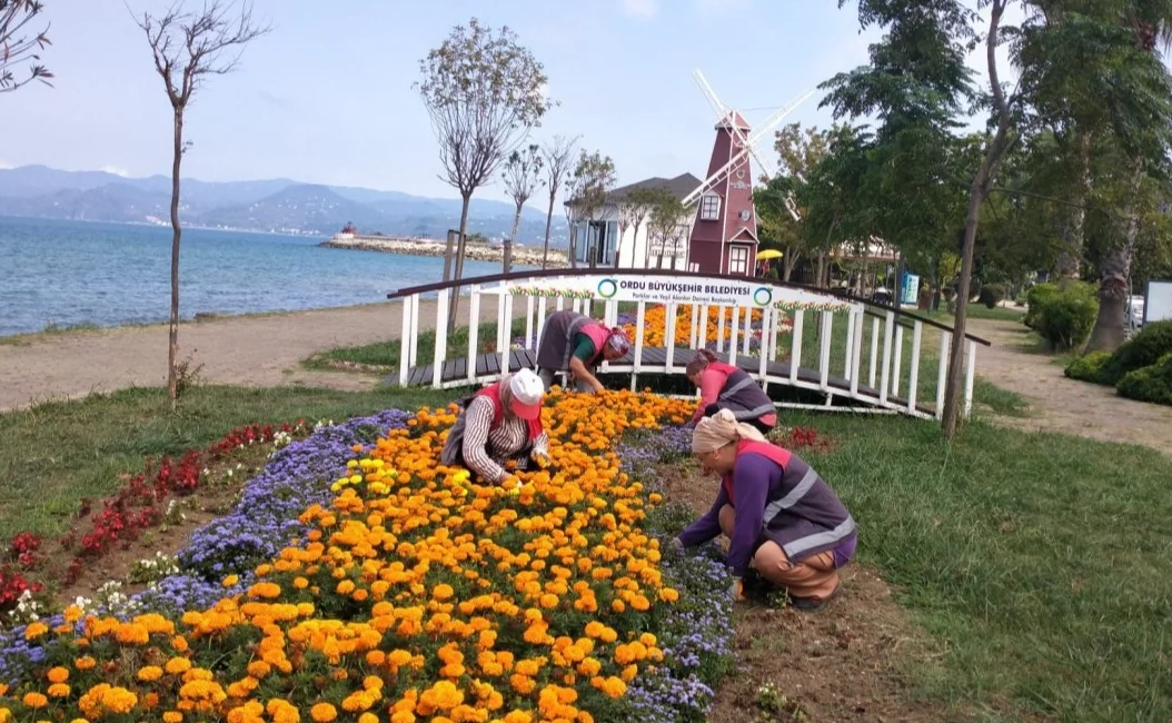Ordu’da kent estetiğine Büyükşehir dokunuşu  Ordu...