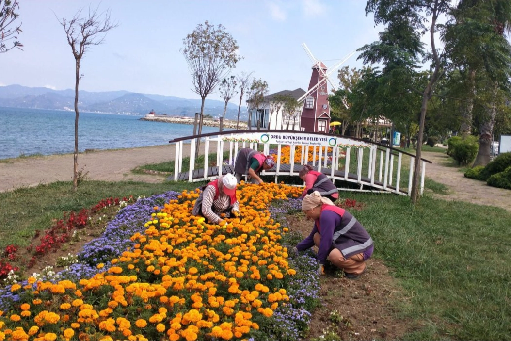 Ordu’da kent estetiğine Büyükşehir dokunuşu Ordu’da kent estetiğine Büyükşehir dokunuşu
