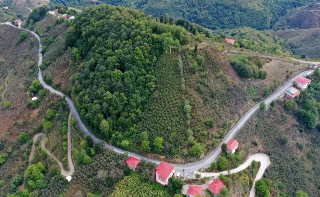  Ordu...
