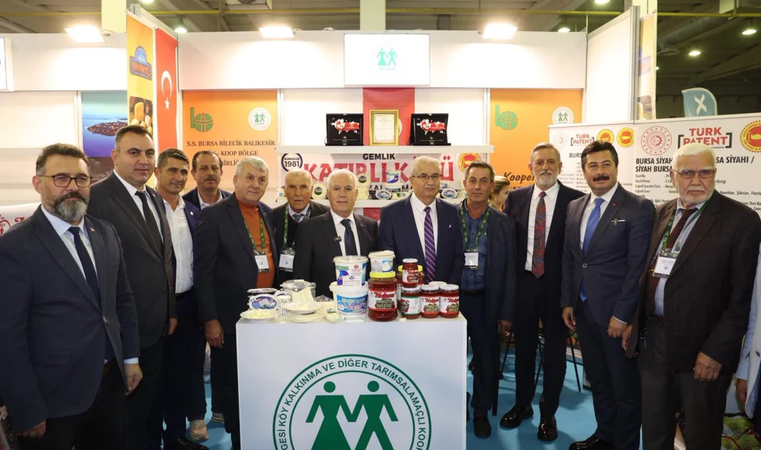  Bursa...