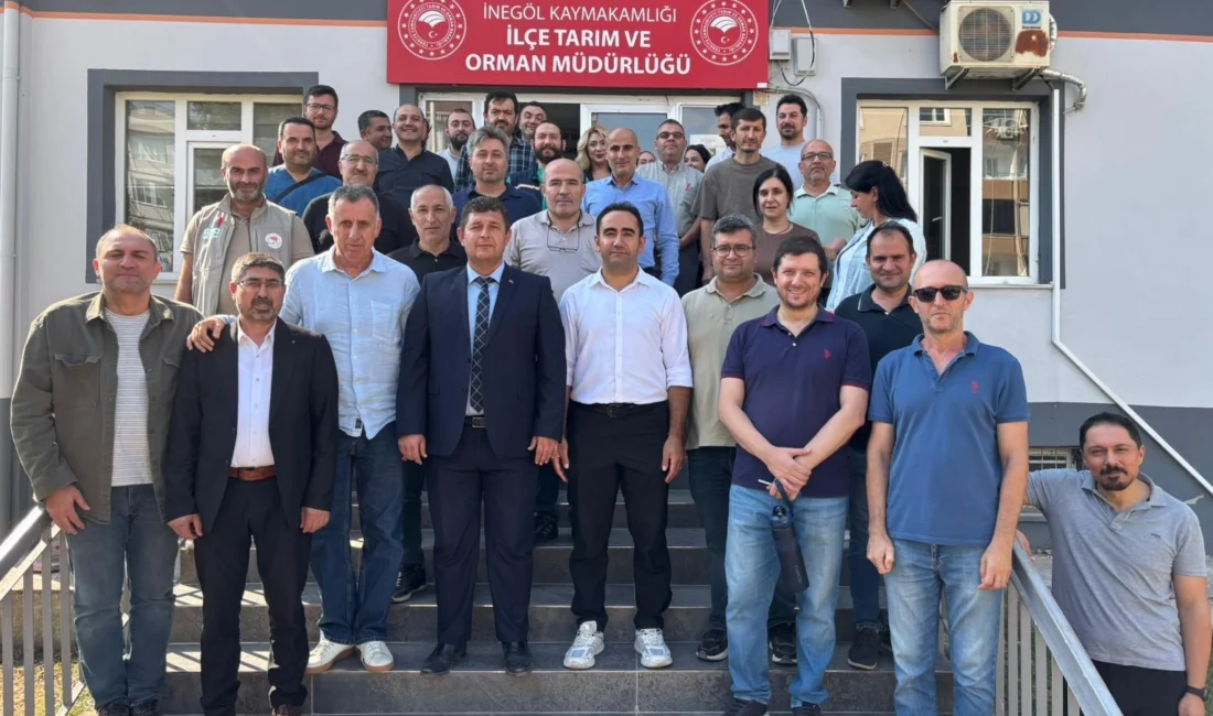 Bursa...