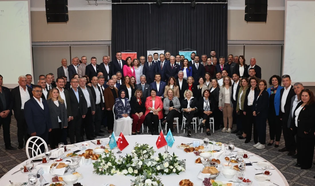  CHP...