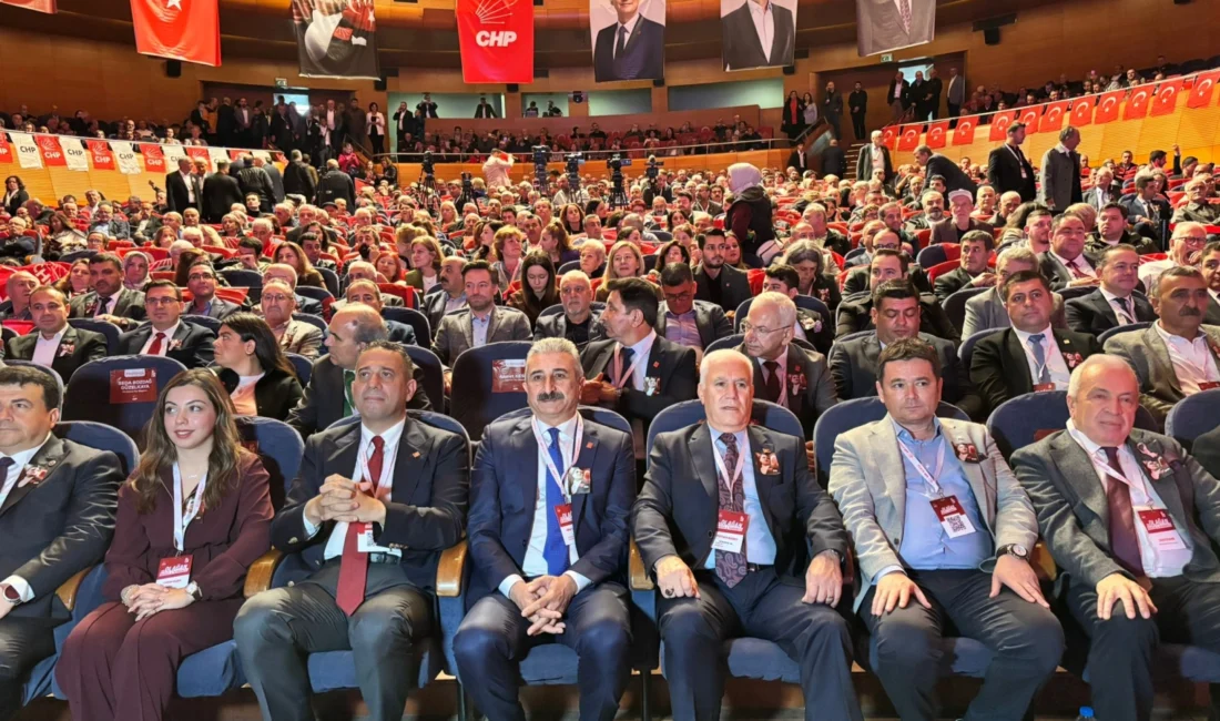  CHP...