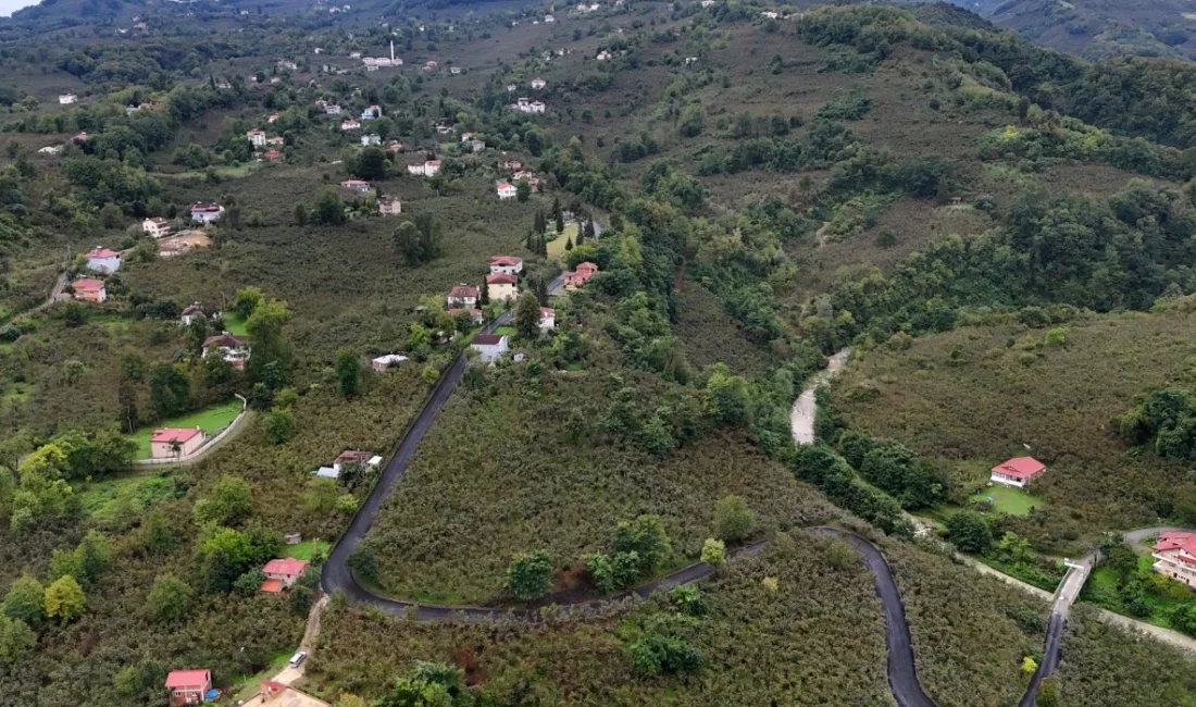  Ordu...