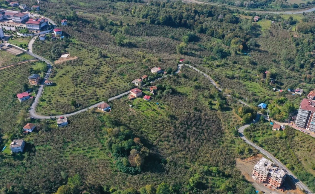  Ordu...