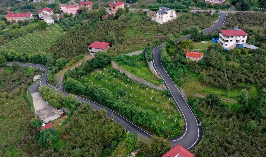  Ordu...