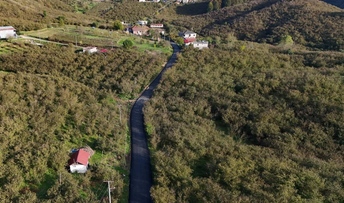  Sakarya...